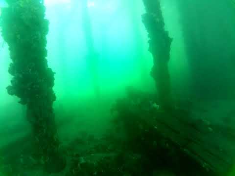 Edithburgh Live by AusOcean 12/02/2023