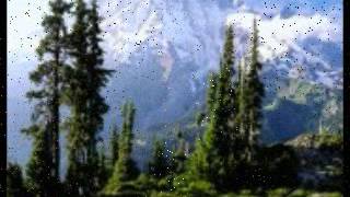 THE HOLLIES-&quot;SWEET COUNTRY CALLING&quot;(VINYL+ LYRICS)