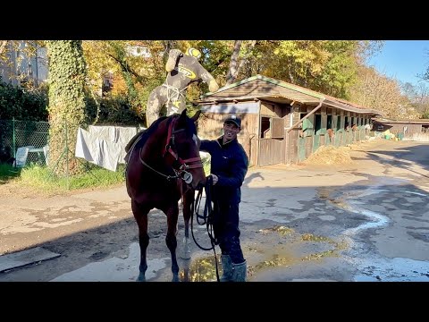 EQUOS MONDO GALOPPO – puntata 22