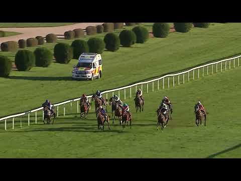 Dostihy Chuchle Arena Praha 21. 9. 2024 - 9. dostih - Cena 40. výročí hry Dostihy a sázky Dino Toys