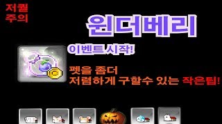 썸네일 이미지