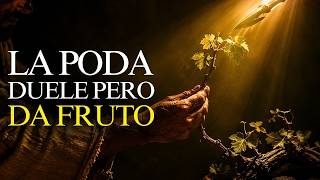 5 Señales de Que Dios Te Está Podando Para Dar Más Fruto
