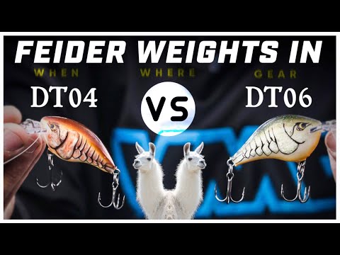 Rapala DT4 vs. DT6 | Seth Feider Explains Differences