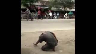 Download lagu ORANG GILA JOGET LUCU #oranggila #orang_gila_lucu #orang_joget_lucu mp3