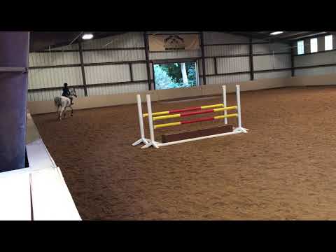 OHJA Virtual Medal: Chloe Reynolds on Lancelot du Lac - low jr medal (3’3”)