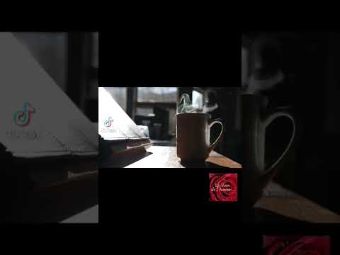 ✨️BONJOUR TOI !J'ESPÈRE QUE TU AS BIEN DORMI