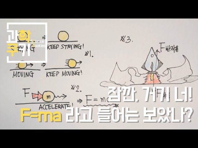 韓国語の물리のビデオ発音