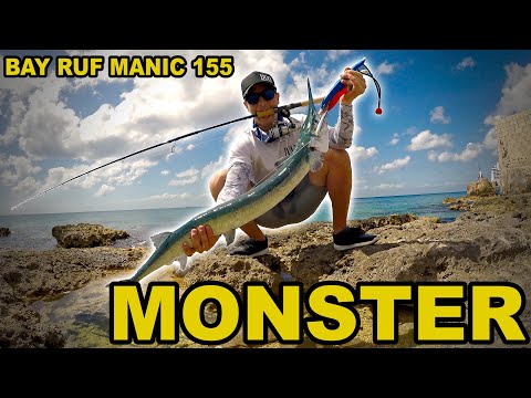 FISHING ADVENTURE - MONSTER Needlefish on DUO BAY RUF MANIC155 COZUMEL 2018
