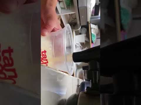 download lagu mp3 mp4 How To Make Red Bean Milk Tea, download lagu How To Make Red Bean Milk Tea gratis, unduh video klip How To Make Red Bean Milk Tea