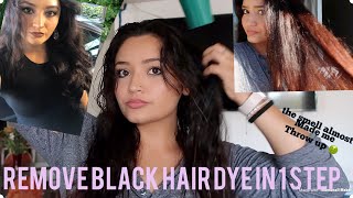 ONE N’ONLY COLORFIX REMOVER| How to remove black hair dye