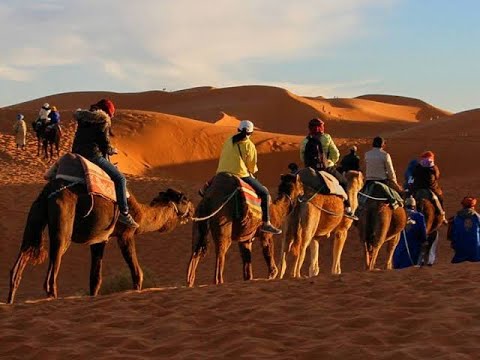 Arabic type beat | 'Sahra fake ' | Prod by elite nation.