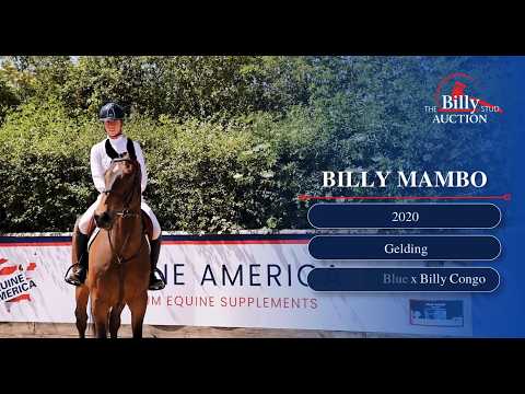 Billy Mambo
