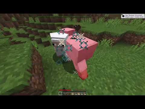 Tinkers Construct 1.16.5 Minecraft