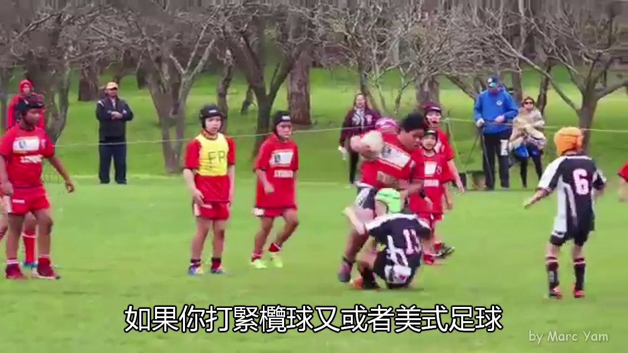 DSE 物理 Physics︱Momentum 動量