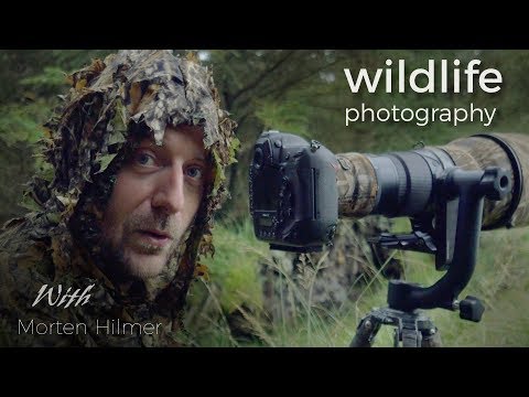 download lagu mp3 mp4 Photo Wild, download lagu Photo Wild gratis, unduh video klip Photo Wild