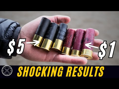 CCI Standard vs Federal Auto Match: Ruger 10/22 TD test