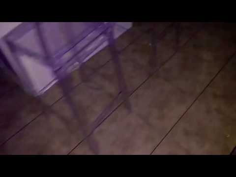 Sportmix How to feed