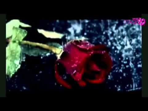 Stage: 1184_Farhad - Azorde Nasho