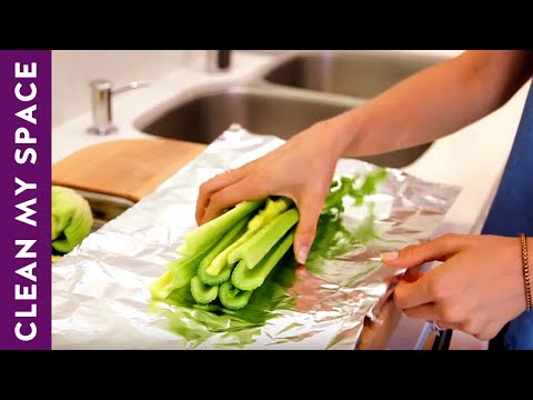 download lagu mp3 mp4 Vegetables That Last Long, download lagu Vegetables That Last Long gratis, unduh video klip Vegetables That Last Long