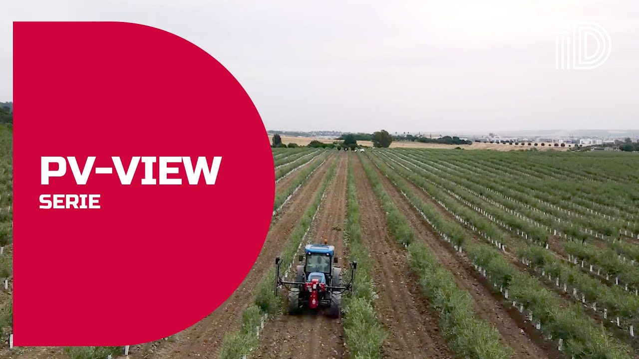 ID DAVID PV-1710 szőlőcsonkázó – szőlészeti gép