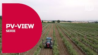 ID DAVID PV-1710 szőlőcsonkázó – szőlészeti gép