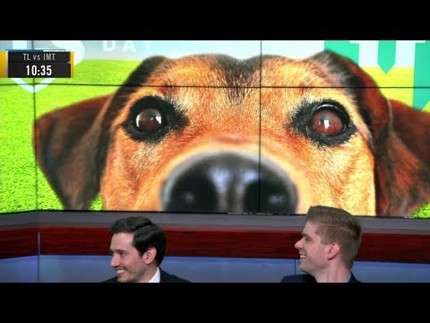 LCS Countdown: Welcome to Week 4 Day 1 of S10 LCS Spring 2020! Dog Day at LCS!