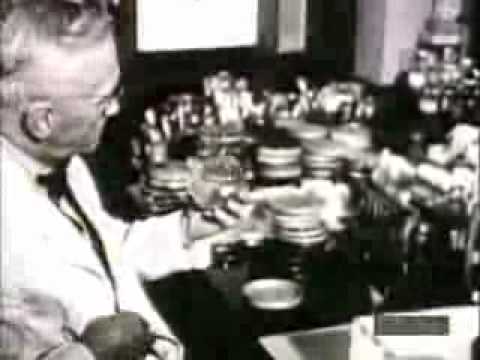 profistori 87 Sir Alexander Fleming  production of penicillin.avi