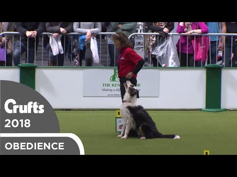 Inter-Regional Rally - Level 6 - Part 4 | Crufts 2018