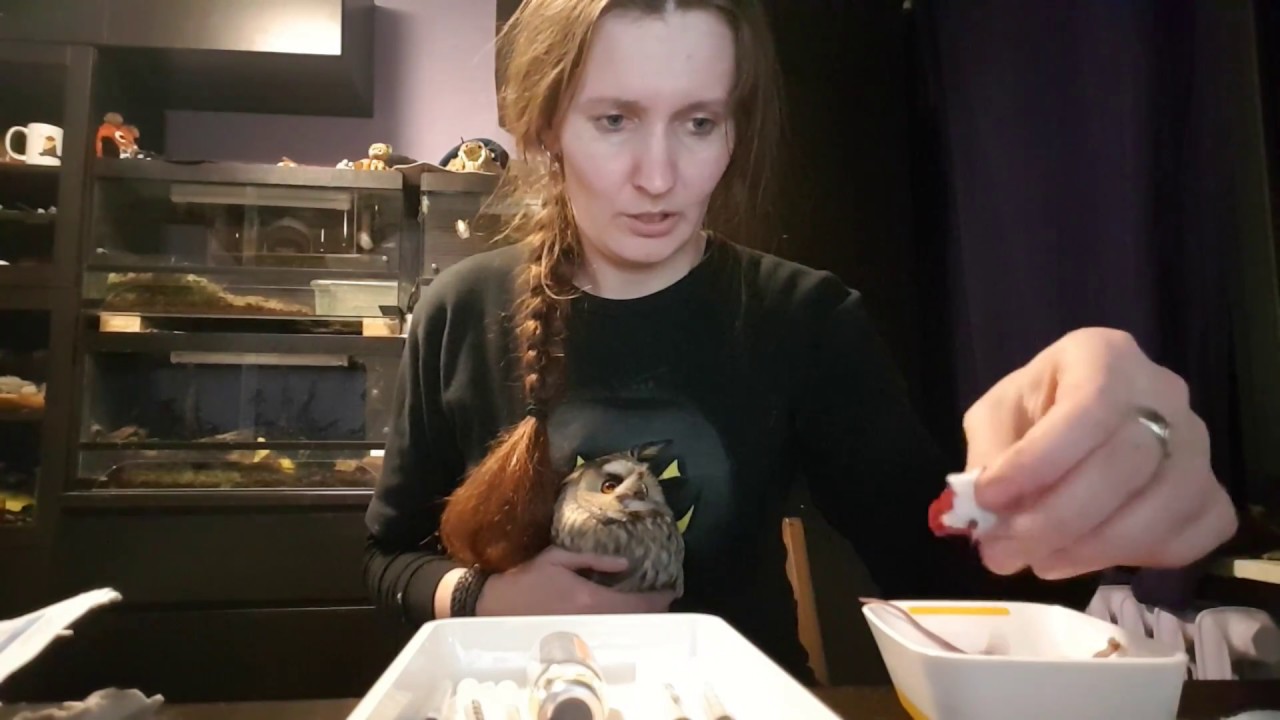 Вечерние экзекуции над совушками и стрессирование всех, кто под руку попадётся.