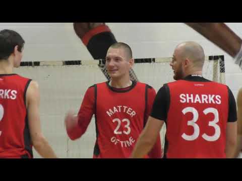 Глобальная лига. Сезон 2020/21 БК Sharks-БК LTA