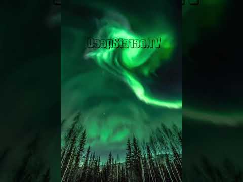 Franck Roger House Music Mix#housemusic #deephouse