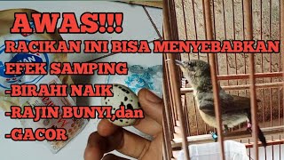 Download lagu Konin Feed Mix to Increase Libido, Instantly Gacor mp3