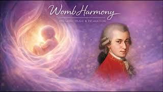 Download lagu 1 HOUR MOZART EFFECT: Relaxing Classical Pregnancy Music π€° Baby Brain Stimulation π§ 70 BPM β¨ mp3 Download lagu 1 HOUR MOZART EFFECT: Relaxing Classical Pregnancy Music π€° Baby Brain Stimulation π§ 70 BPM β¨ mp3