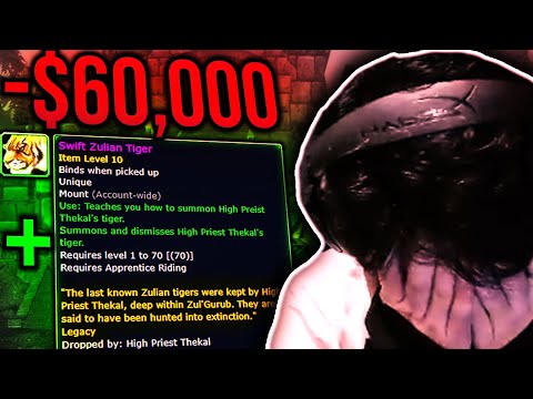 Chanimal | I Lost 60,000 Gold but WE GOT THE ZULIAN TIGER!