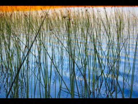 Liquid Moon Lisa Gerrard & Pieter Bourke