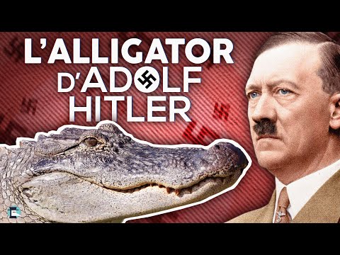 Saturne, l’alligator d'Adolf Hitler !