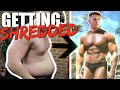 MY PLAN TO GET SHREDDED...
