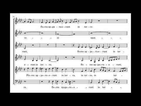 Guerrero: Surge propera - Tallis Scholars