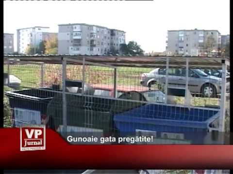 Gunoaie gata pregătite!