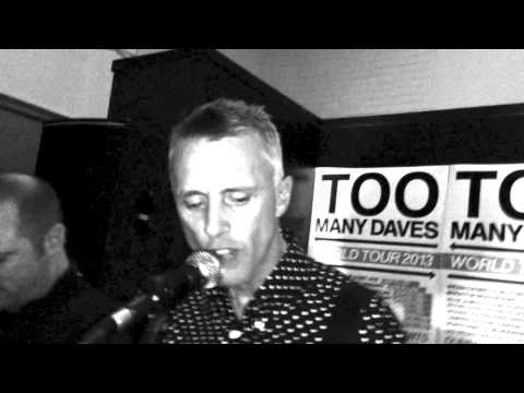 Too Many Daves -- Nice Flowers and Fings (Live in Dunedin 2013)
