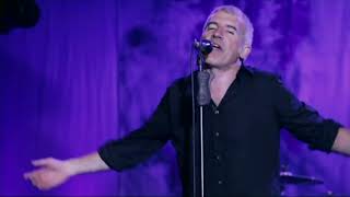 buitres - La Virgen (DVD Las canciones son verdad) [En Vivo]