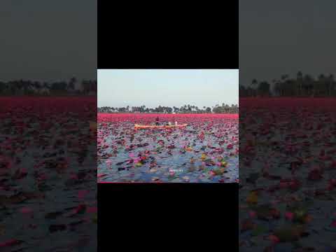 Really beautiful view 😍😍😍😍😍😍😍😍😍.....................❤❤. #beautiful #nature