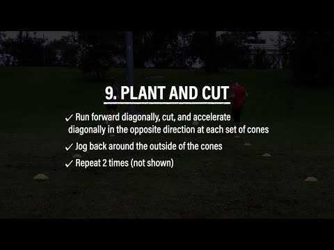 Video hướng dẫn bài 15