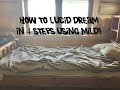 How to Lucid Dream Easily in 4 Steps! (MILD Technique)
