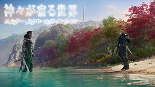 [PS5] 神々が宿る世界 / ｴﾙﾀﾞｰｽｸﾛｰﾙｽﾞｵﾝﾗｲﾝ #6