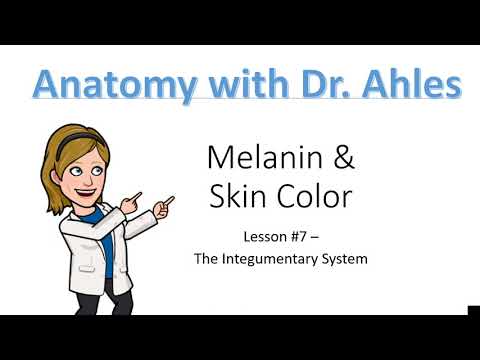 Lesson #7 - Melanin & Skin Color