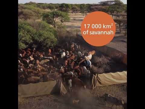 Working together for wildlife and communities - #SWMProgramme impact and results