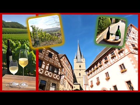 🍷 Abt-Degen-Steig - Weinbergwanderung im Goldenen Oktober / Altstadt Zeil am Main - WEINFRANKEN
