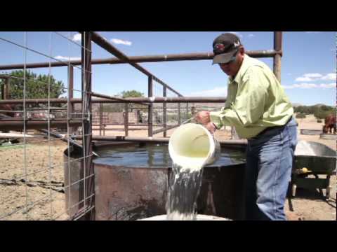 Empower 500 Navajo Families Without Electricity