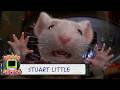 Stuart Gets Trapped In The Washing Machine Stuart Little Indoor Recess
